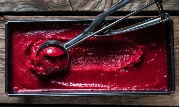 Sorbet aux fruits sans sorbetière