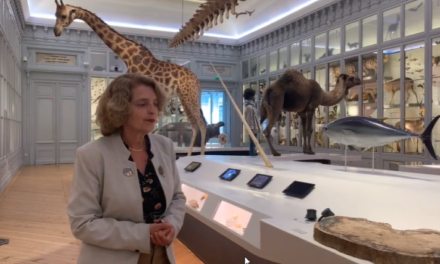 Bordeaux: Visiter de chez vous le museum d’histoire naturelle