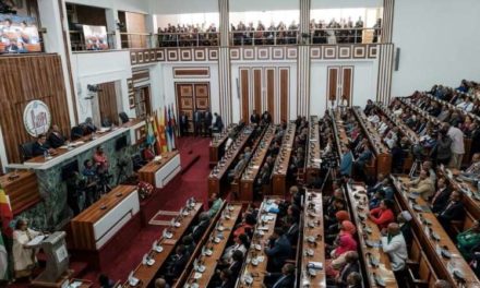 Crise en éthiopie : La Présidente de l’Assemblée Nationale démissionne
