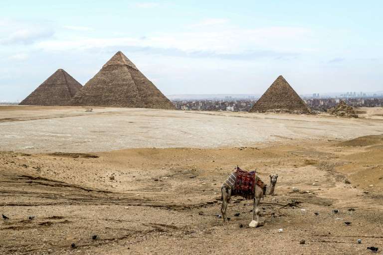 Elon Musk invité par l’Egypte après son tweet sur “la construction des pyramides par les extra-terrestres”s