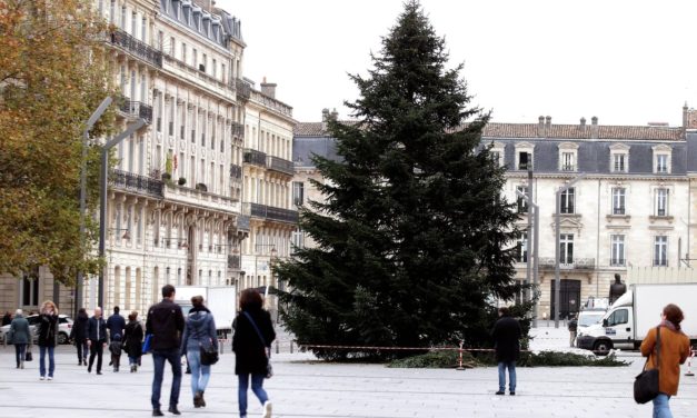 A Bordeaux le Géant sapin de Noël remplacé par un spectacle numérique