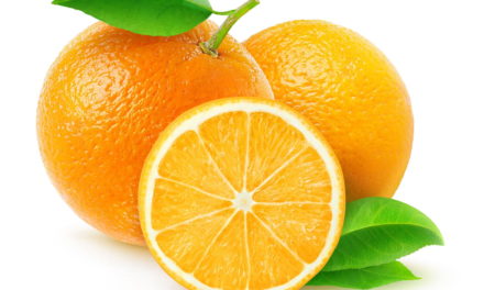 Manger 1 orange par jour: quel effet sur votre santé – cholestérol & glycémie