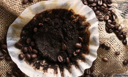 5 astuces à tester avec le marc de café