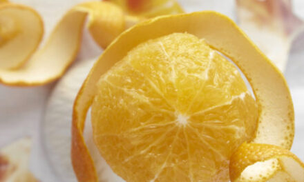 Que faire avec vos zest d’orange